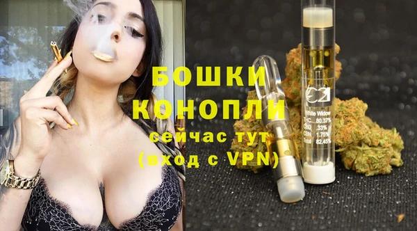 амф Бронницы
